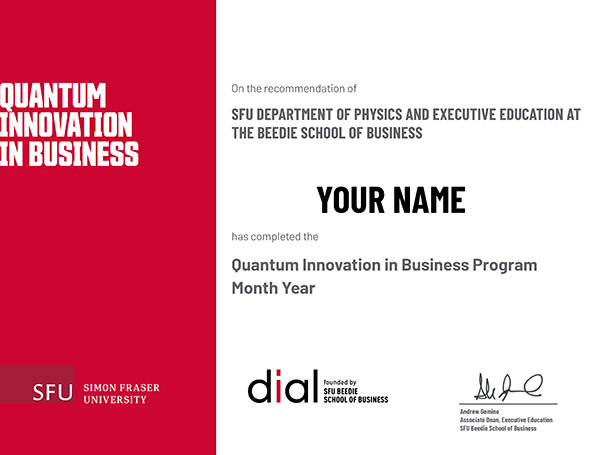 QIB Certificate